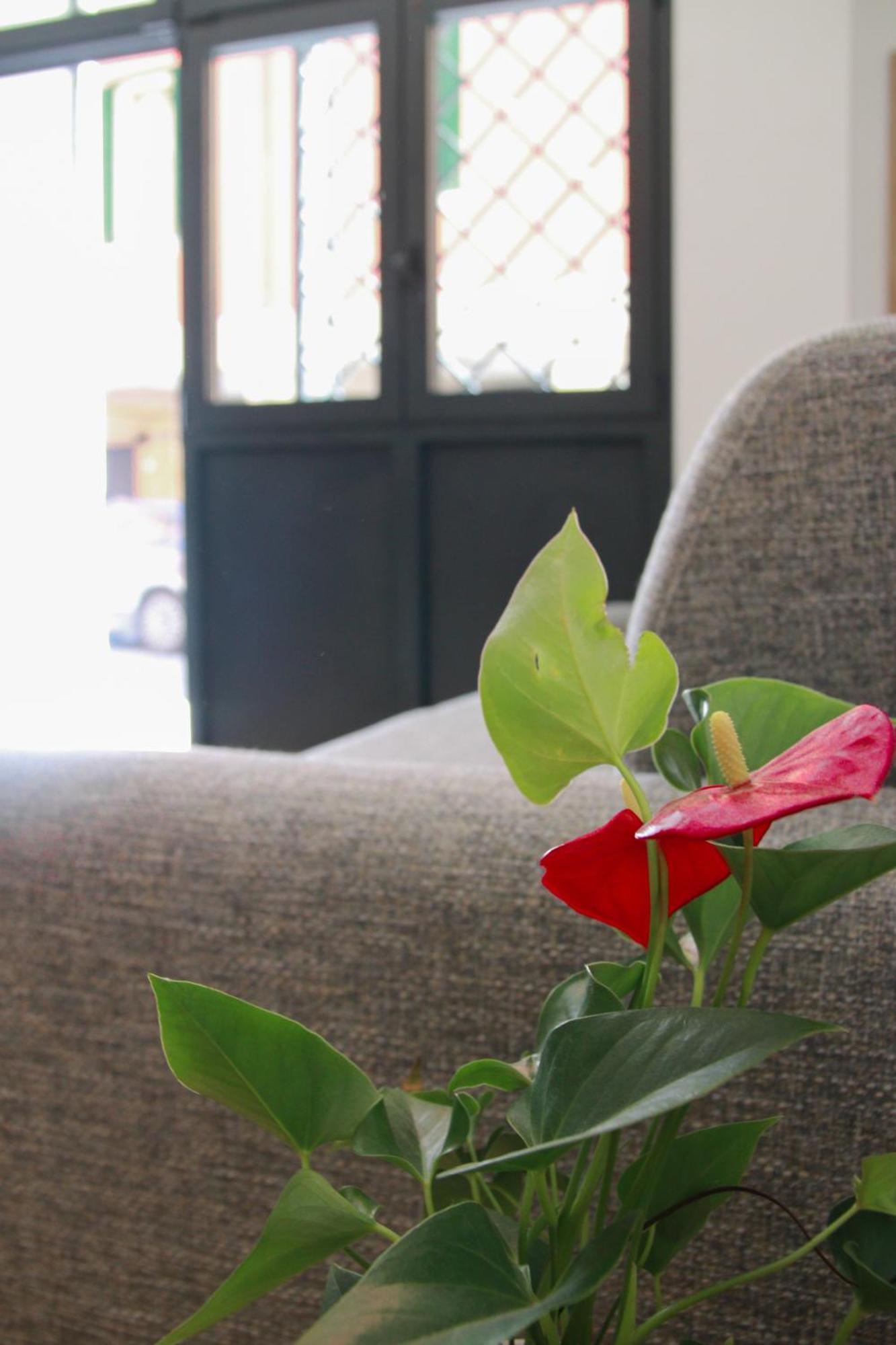 U Zone Apartment 볼로냐 외부 사진